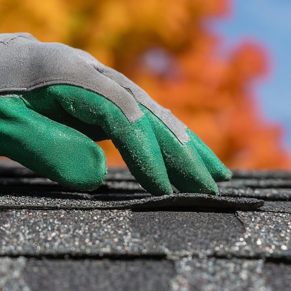  Fall Roof Maintenance